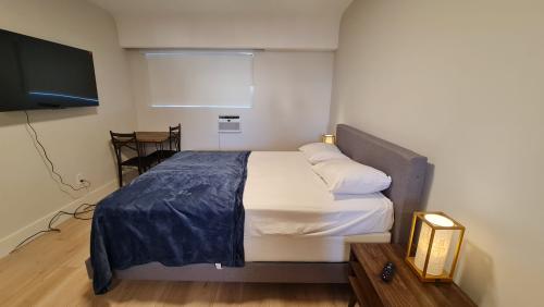 293img